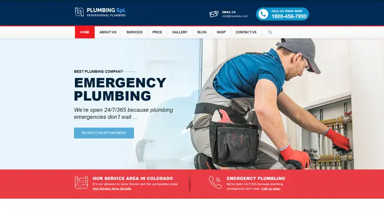 RapidFlow Plumbing website preview